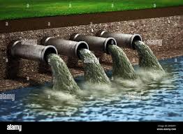 Surface Water Adult 80 GBP