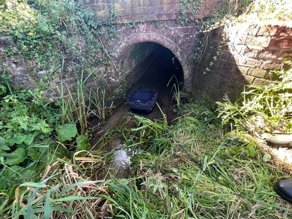 Surface Water Adult 80 GBP